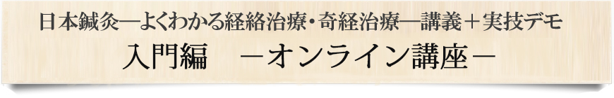 日本鍼灸 よくわかる経絡治療・奇経治療