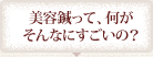 美容鍼って、何がそんなにすごいの？